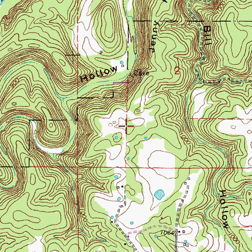 Topographic Map of Jenny Ridge, MO