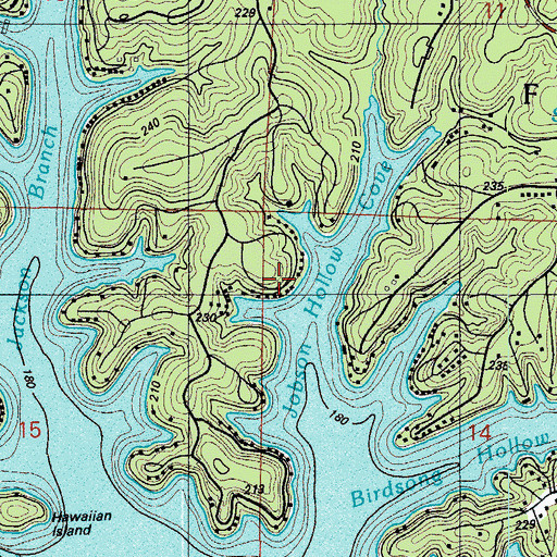 Topographic Map of Jobson Hollow Cove, MO