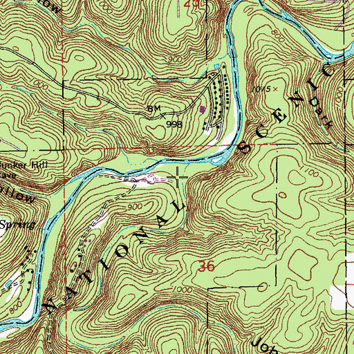 Topographic Map of Johnny Hollow, MO