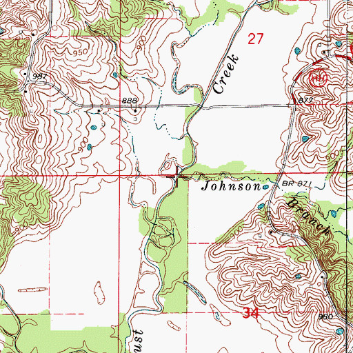 Topographic Map of Johnson Branch, MO