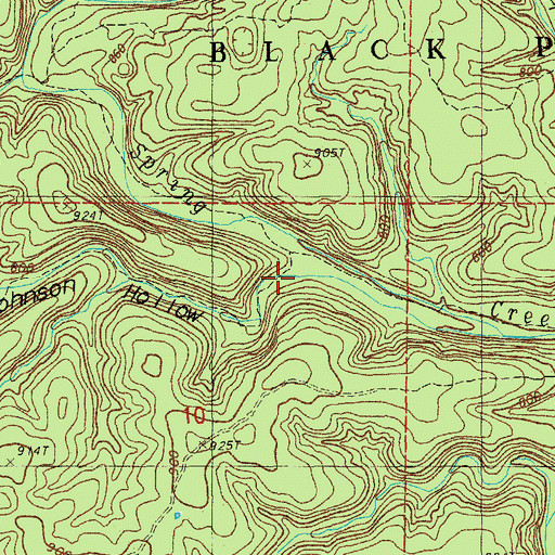 Topographic Map of Johnson Hollow, MO