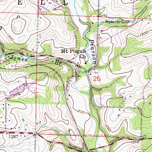 Topographic Map of Jones Branch, MO