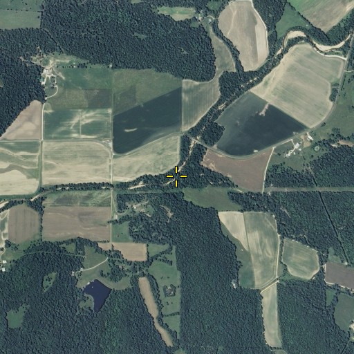 Aerial/Satellite Image of Jones Branch, MO