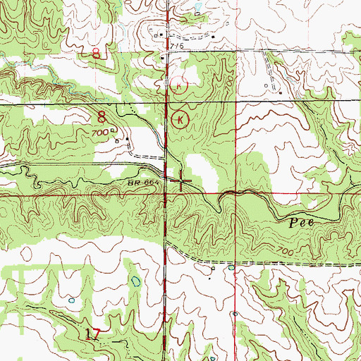 Topographic Map of Jones Branch, MO