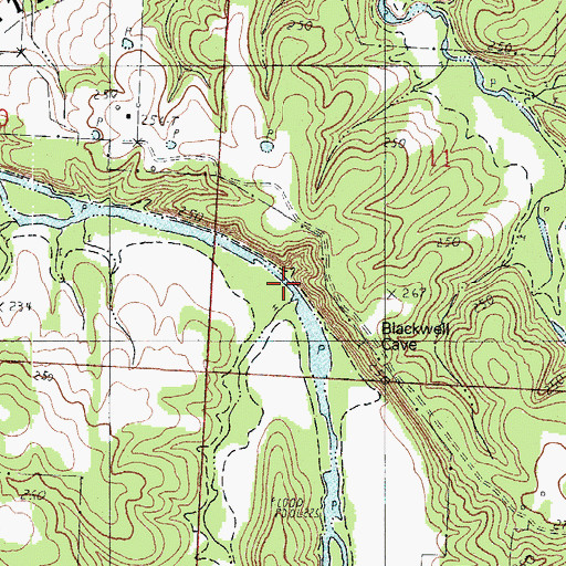 Topographic Map of Jordan Branch, MO