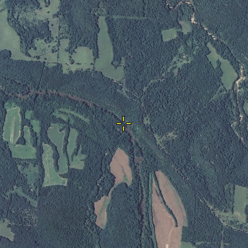 Aerial/Satellite Image of Jordan Branch, MO