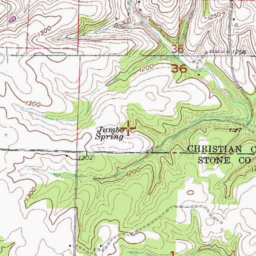 Topographic Map of Jumbo Spring, MO