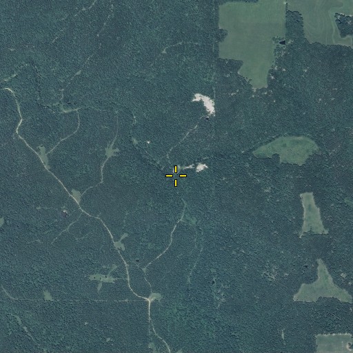 Aerial/Satellite Image of Kelly Hollow, MO