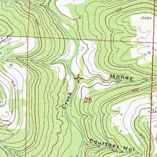 Topographic Map of Honey Hollow, AR
