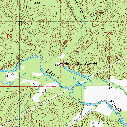 Topographic Map of King Bee Spring, MO