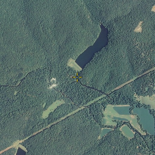 Aerial/Satellite Image of King Bee Spring, MO
