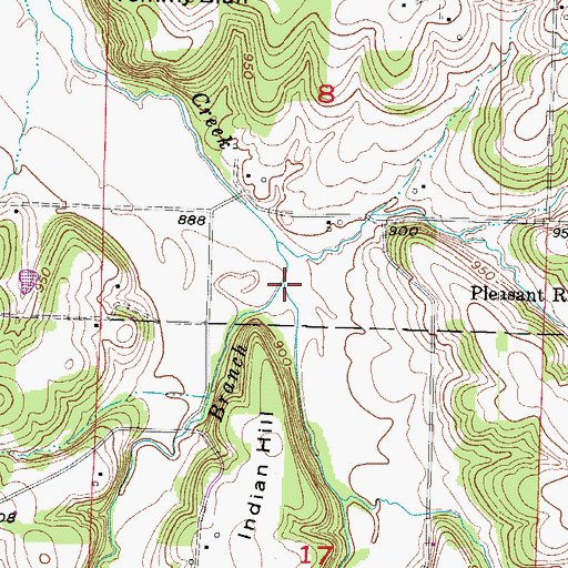 Topographic Map of King Branch, MO