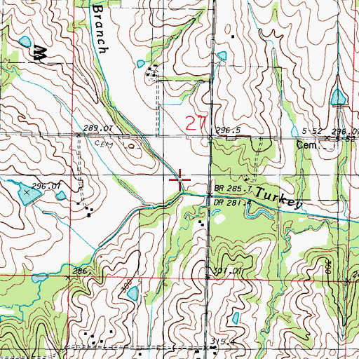 Topographic Map of King Branch, MO