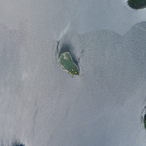 Aerial/Satellite Image of King Hill, MO