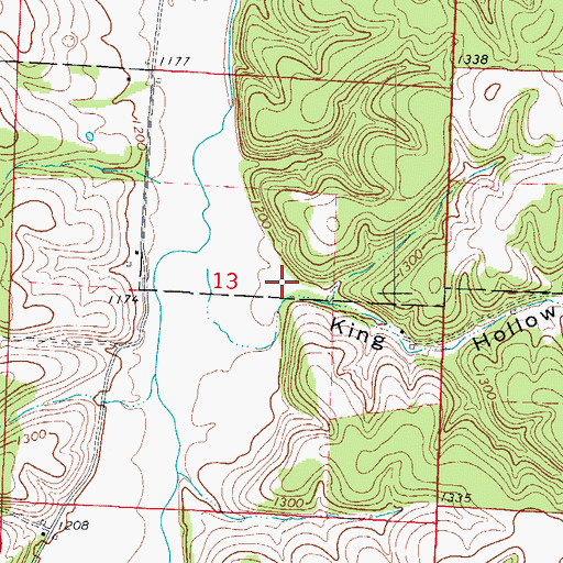 Topographic Map of King Hollow, MO