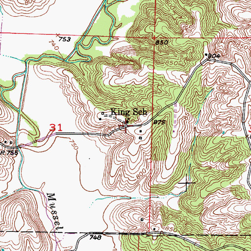 Topographic Map of King School, MO