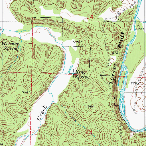 Topographic Map of King Spring, MO