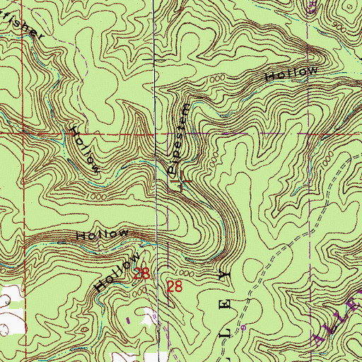Topographic Map of Kingfisher Hollow, MO