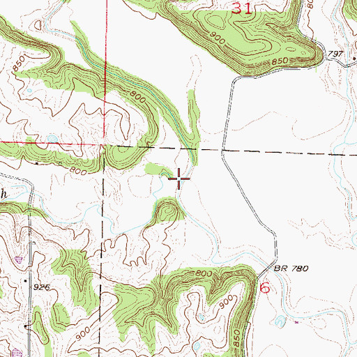 Topographic Map of Kings Branch, MO
