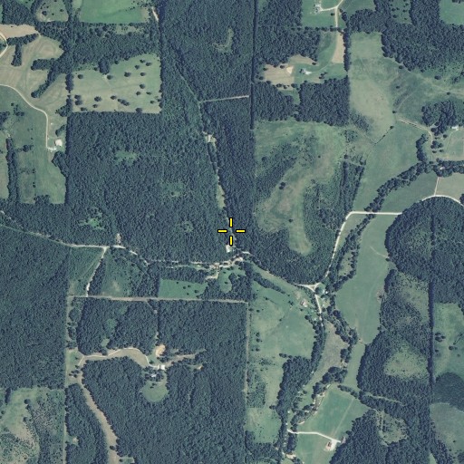 Aerial/Satellite Image of Lane Spring, MO