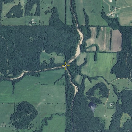 Aerial/Satellite Image of Lanes Fork, MO