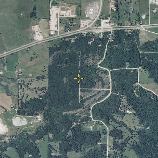 Aerial/Satellite Image of Lead Hill, MO