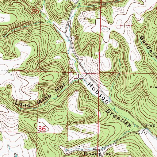 Topographic Map of Lead Mine Hollow, MO