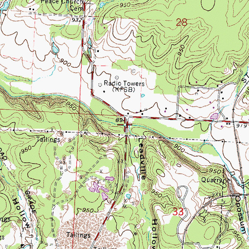 Topographic Map of Leadville Hollow, MO