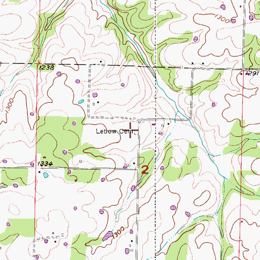 Topographic Map of Lebow Cemetery, MO