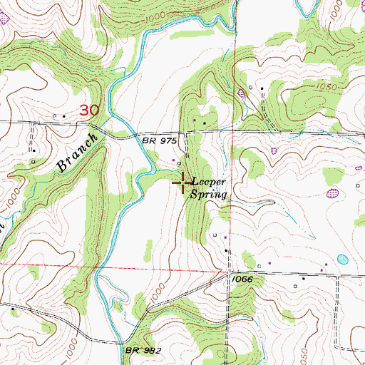 Topographic Map of Leeper Spring, MO