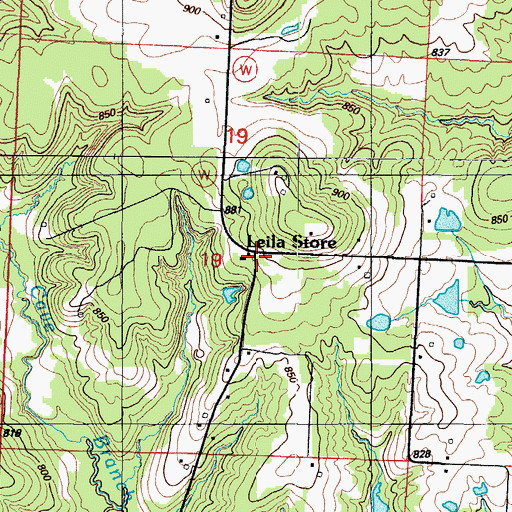 Topographic Map of Leila Store, MO