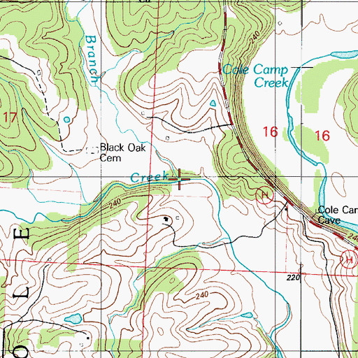 Topographic Map of Lemon Branch, MO