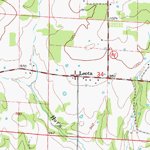 Topographic Map of Leota, MO