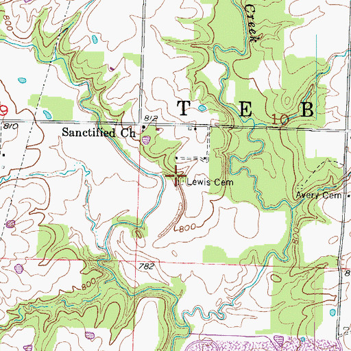 Topographic Map of Lewis Cemetery, MO