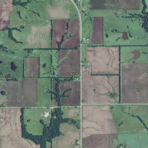Aerial/Satellite Image of Liberty School, MO