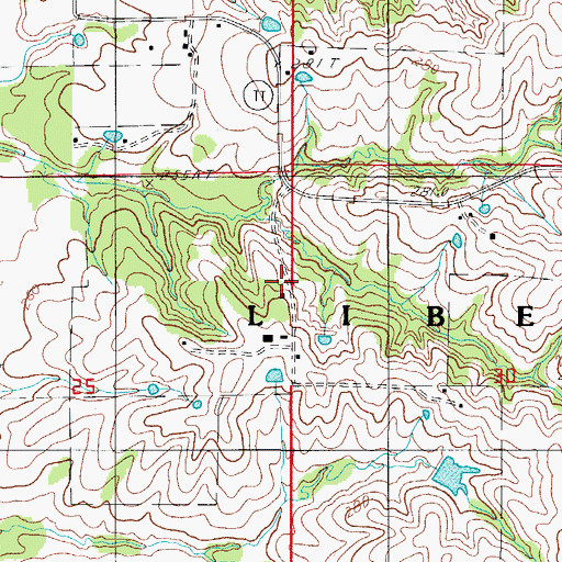 Topographic Map of Liberty School, MO