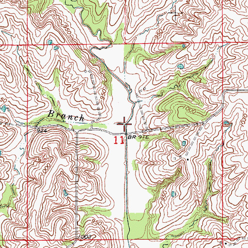 Topographic Map of Lick Branch, MO
