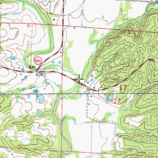 Topographic Map of Lick Fork, MO
