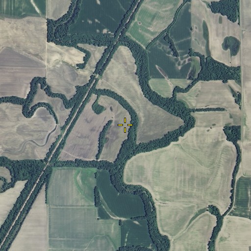 Aerial/Satellite Image of Lick Fork, MO