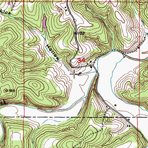 Topographic Map of Lick Hollow, MO