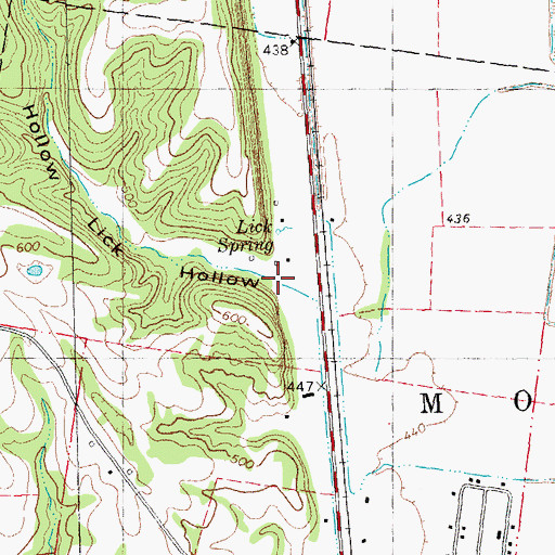 Topographic Map of Lick Hollow, MO