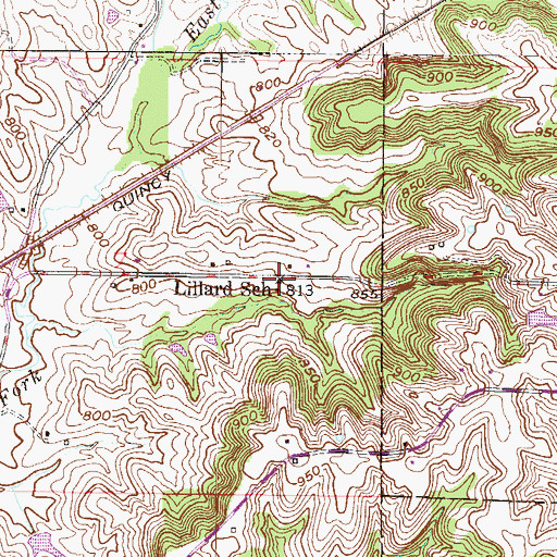 Topographic Map of Lillard School, MO