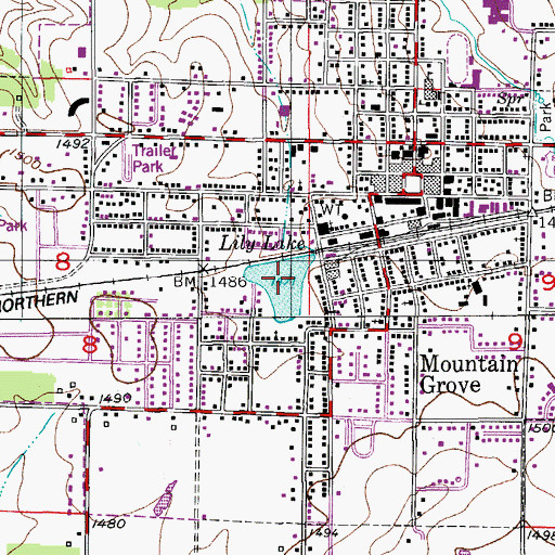 Topographic Map of Lily Lake, MO