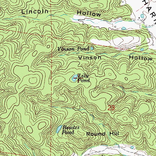 Topographic Map of Lily Pond, MO