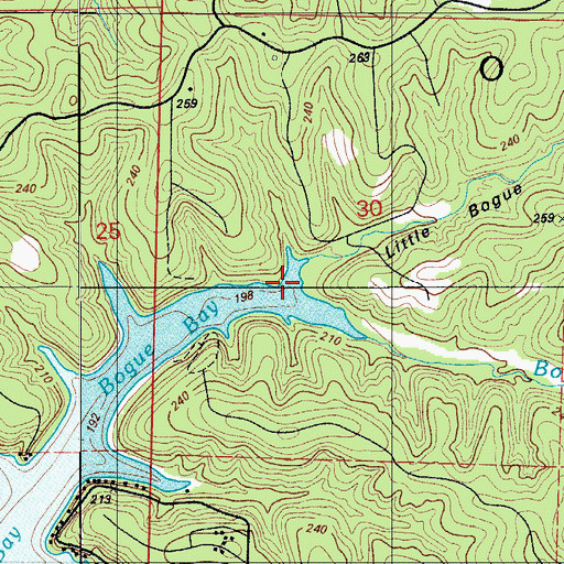 Topographic Map of Little Bogue Hollow, MO