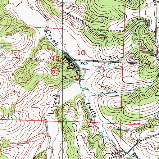 Topographic Map of Little Branch, MO