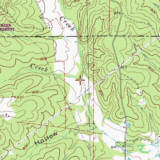 Topographic Map of Little Brushy Creek, MO