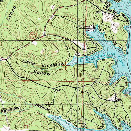 Topographic Map of Little Kinchlow Hollow, MO