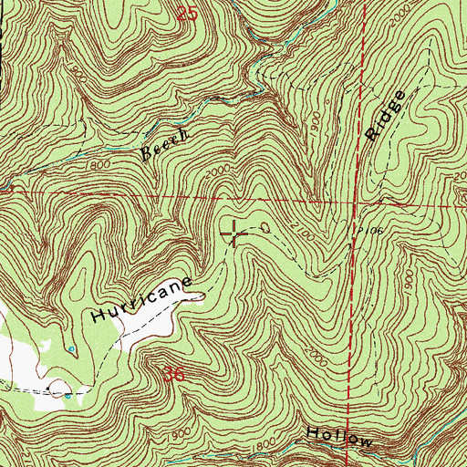 Topographic Map of Hurricane Ridge, AR