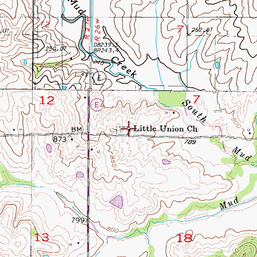 Topographic Map of Little Union Church, MO